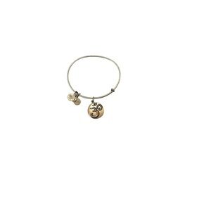 Alex and Ani Gold Expandable Charm Bracelet